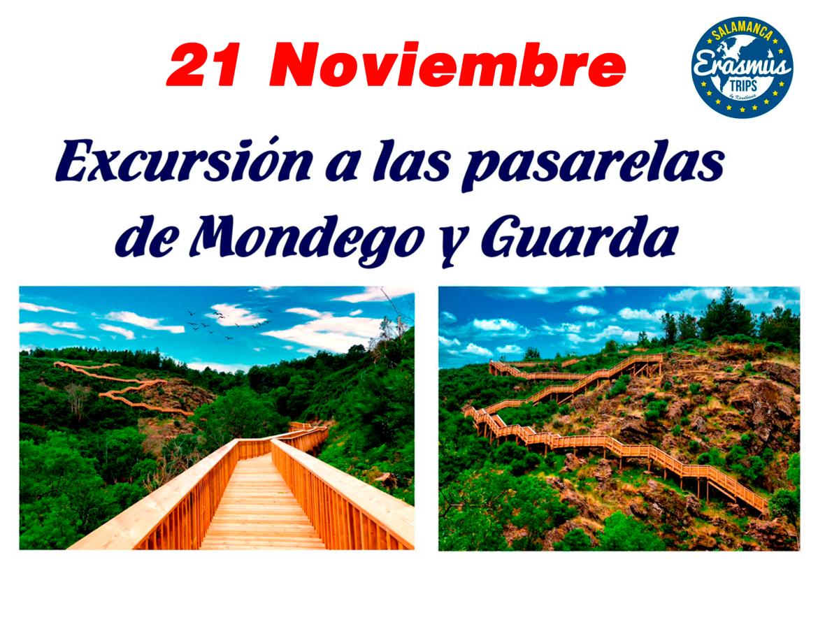 PASARELAS DE MONDEGO Y GUARDA # 21 de noviembre de 2026