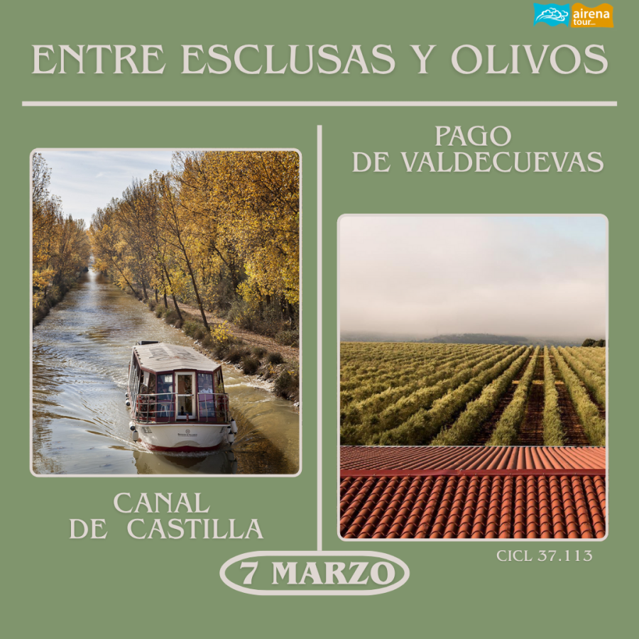 MEDINA DE RIOSECO #CANAL DE CASTILLA #PAGO DE VALDECUEVAS #7 DE MARZO 2026