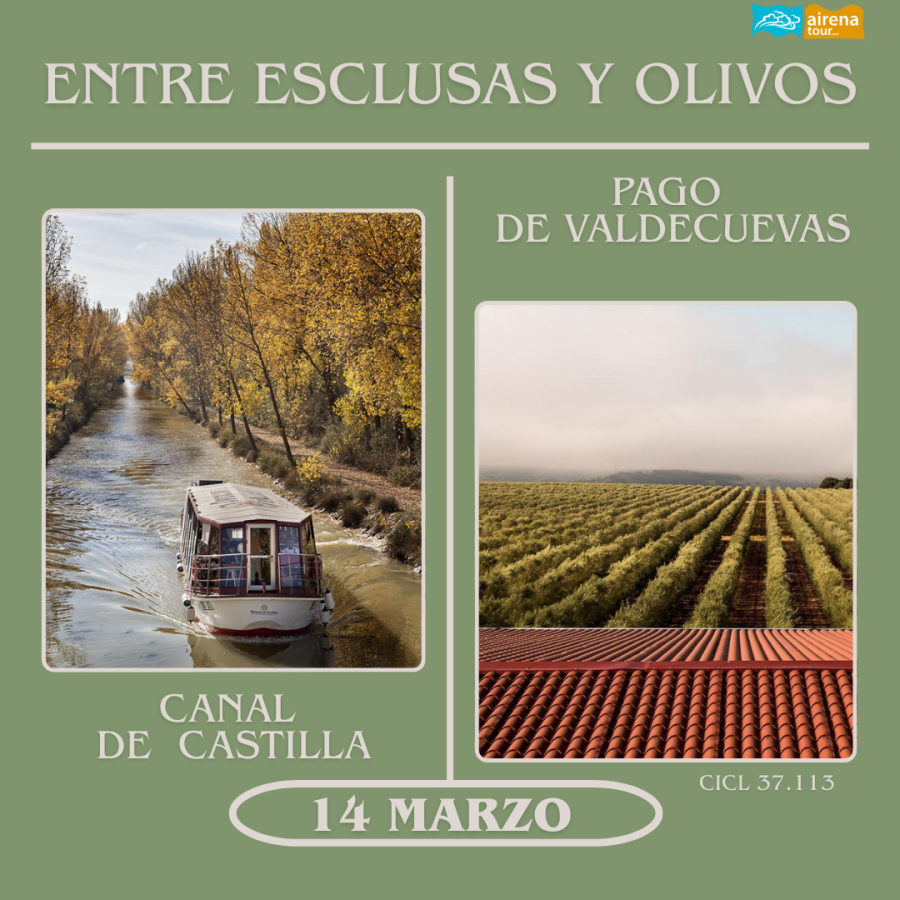 MEDINA DE RIOSECO #CANAL DE CASTILLA #PAGO DE VALDECUEVAS #14 DE MARZO 2026